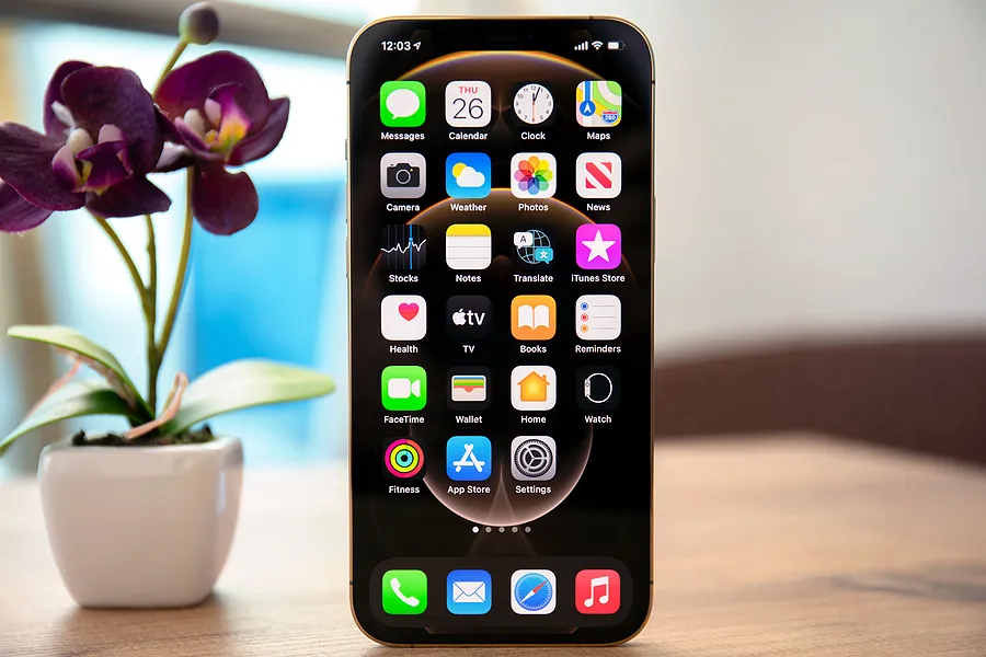 iPhone 放在花旁边