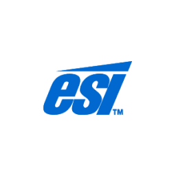 E&S International Enterprises (ESI) 标志